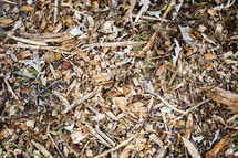 brown leaves and mulch on the ground 