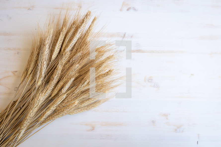 wheat on a wood background 