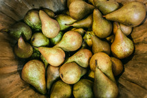 pears in a basket 