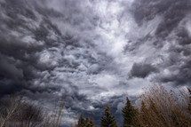 Stormy cloudy spring sky over trees
