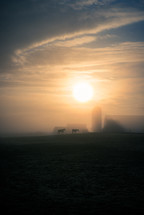 barn and horses in fog