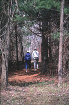 Brothers walking in woods