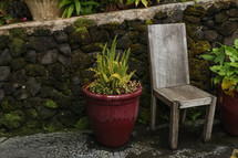 potted fern and chair on a patio 