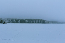 fog over a field of snow 