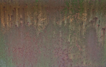A surface covered in mottled purple and green.