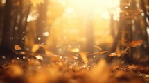 Beautiful autumn forest background with bokeh, fallen leaves and sunbeams.