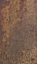 A mottled brown surface.