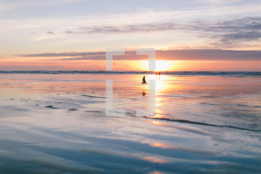 sailboat on water at sunrise 