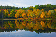 colorful fall trees around a lake 