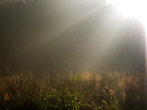 rays of sunlight over a field 