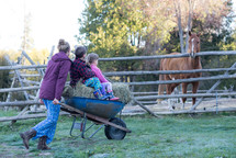 kids in a wheelbarrow full of hay to feed horses 
