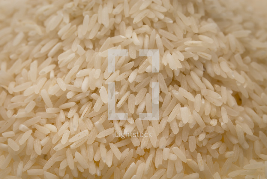 white rice background 