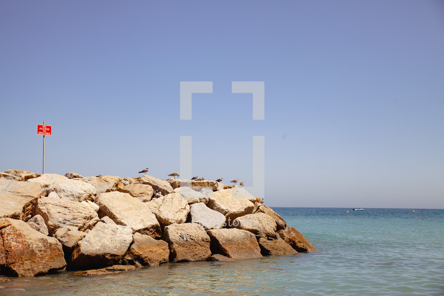 Birds on top of a stone pier