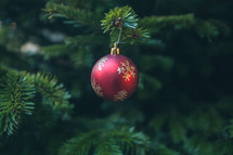 Christmas ornament on a Christmas tree 