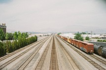trains on the tracks 