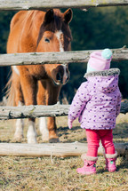 toddler girl watching a horse through a fence 