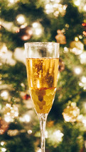 champagne glass in front of a Christmas tree 