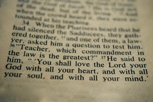 Teacher, which commandment in the law is greatest? He said to him, "You shall love the Lord your God with all your heart, and with all your soul, and with all your mind. 