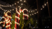 candy canes and hanging lights between palm trees 