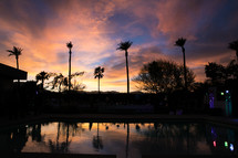 silhouette of palm trees and pool 
