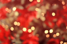bokeh Christmas lights and poinsettia 