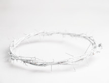Crown of Thorns on a white background