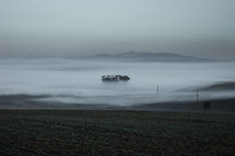 dense fog over farmland 