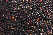A Pile of Black Quinoa Background