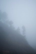 foggy mountainside 