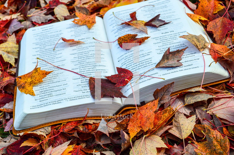 God's Word in Autumn