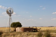 windmill on a ranch 