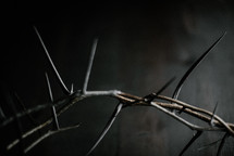 crown of thorns on a dark wood background 