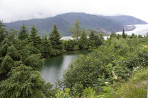 trees surrounding a mountain lake 