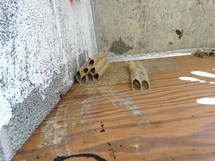 Hornet nests in corner of ceiling in old building