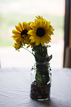 sunflowers in a vase 