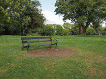 Large urban park with meadow and trees and a bench
