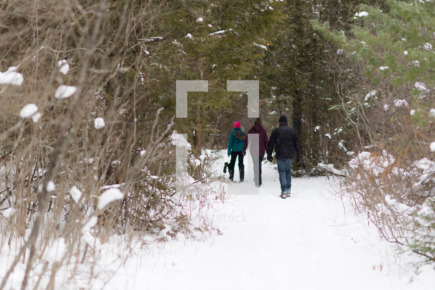 people walking through a forest in snow 