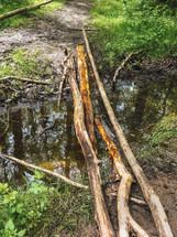 sticks across a creek 