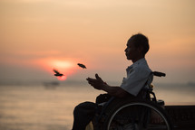 man in a wheelchair releasing birds 