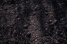 potting soil 
