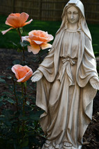 statue of Mary in a rose garden 