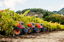 Orange Tractors in a vineyard fall napa valley harvest