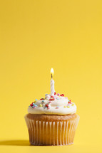 cupcake against a yellow background 