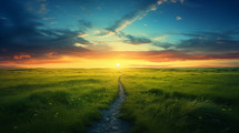 Path leading into the sunset through a green field. 