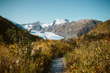 Portage Pass - glacier with foliage