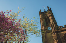 church steeple and spring trees 