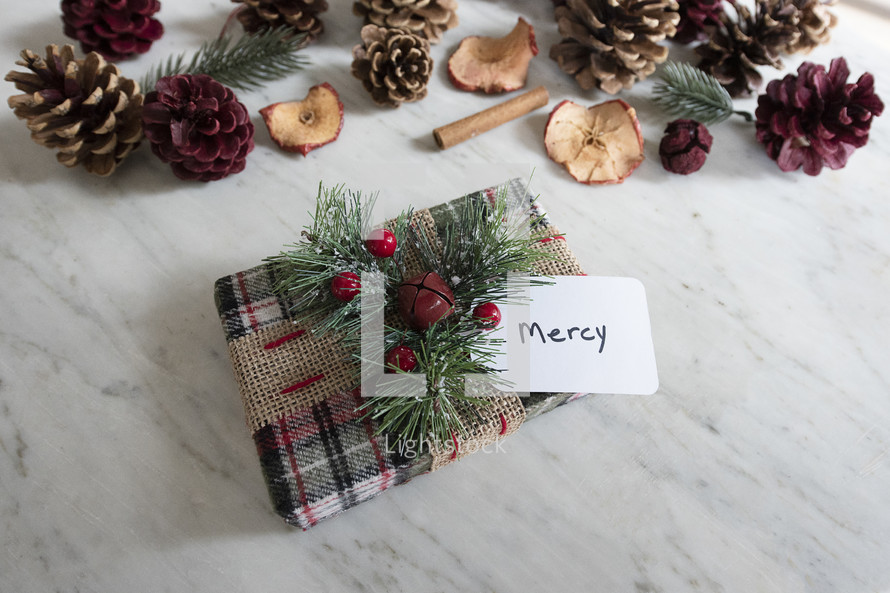 wrapped gift and tag labeled - mercy 
