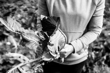 Woman holding leaves from garden vegetable - black and white