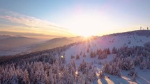 Magic view of sunrise in winter frozen nature with snowy trees in forest mountain landscape
