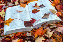 God's Word in Autumn